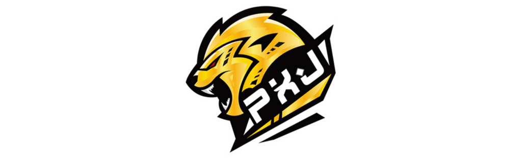 PXJ THAI